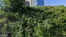 Kontor för uthyrning, Rotterdam Prins Alexander, Rotterdam, &lt;span class=&quot;blurred street&quot; onclick=&quot;ProcessAdRequest(2307926)&quot;&gt;&lt;span class=&quot;hint&quot;&gt;Zie straatnaam&lt;/span&gt;[xxxxxxxxxxxxx]&lt;/span&gt;