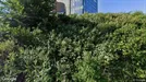 Kontor för uthyrning, Rotterdam Prins Alexander, Rotterdam, &lt;span class=&quot;blurred street&quot; onclick=&quot;ProcessAdRequest(2591106)&quot;&gt;&lt;span class=&quot;hint&quot;&gt;Zie straatnaam&lt;/span&gt;[xxxxxxxxxxxxx]&lt;/span&gt;
