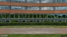 Coworking for rent, Arnhem, Gelderland, Meander 825