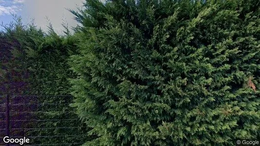 Bedrijfsruimtes for rent i Midden-Delfland - Foto uit Google Street View