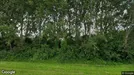 Commercial space for rent, Zaanstad, North Holland, Ringweg 271