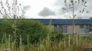 Commercial space for rent, Enschede, Overijssel, Slijpsteen 5