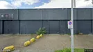 Commercial space for rent, Amsterdam Westpoort, Amsterdam, Gyroscoopweg 6A