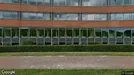 Kantoor for rent, Arnhem, Gelderland, Meander 825