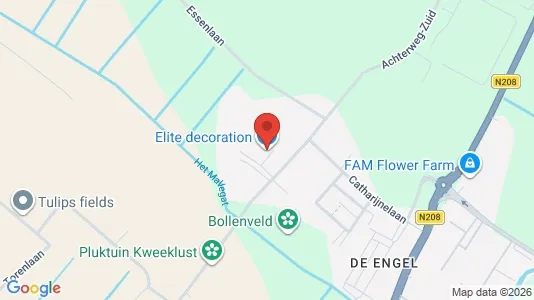 Bedrijfsruimtes for rent i Lisse - Foto uit Google Street View