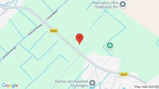 Bedrijfsruimtes for sale i Teylingen - Foto uit Google Street View
