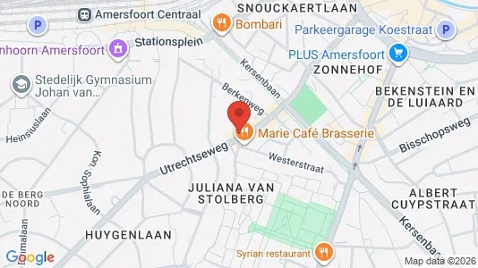 Bedrijfsruimtes for rent i Amersfoort - kort over placeringen