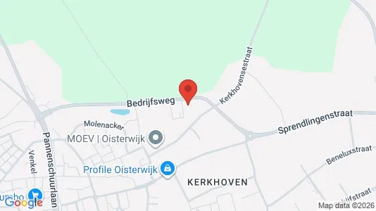 Kantorruimte for rent i Oisterwijk - Foto uit Google Street View
