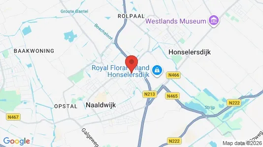 Winkels for rent i Westland - Foto uit Google Street View