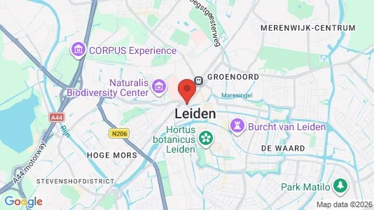 Horeca panden for rent i Leiden - Foto uit Google Street View