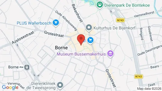 Bedrijfsruimtes for sale i Borne - kort over placeringen